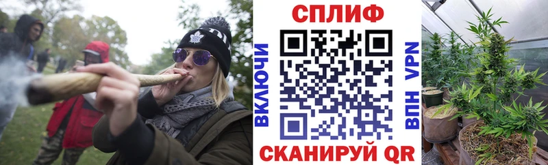 Купить где  Люберцы  Шишки марихуана OG Kush 